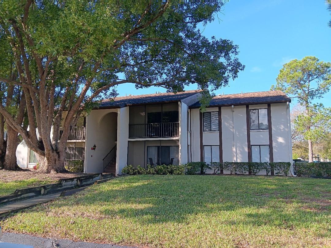 Front of the condo. East facing with beautiful shade tree.