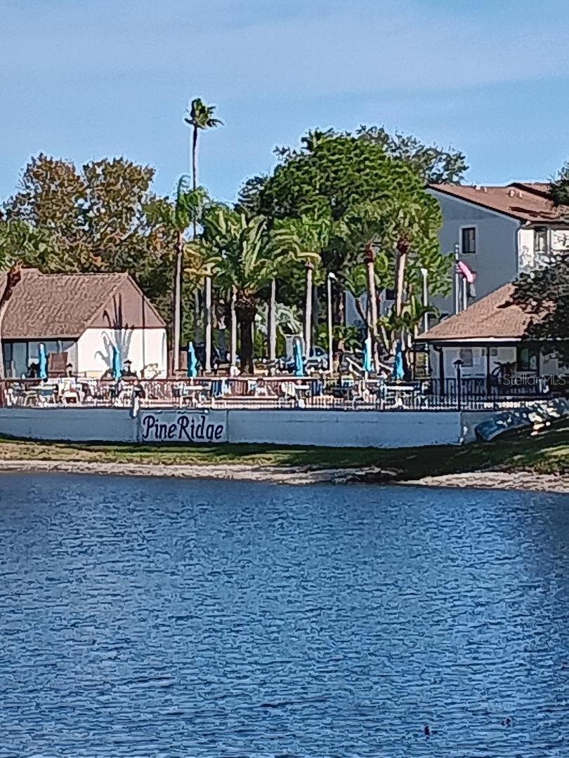 View of the pool over the pond