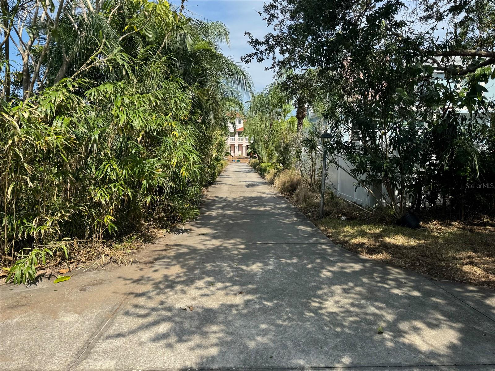 Long luscious driveway towards Shore Dr.