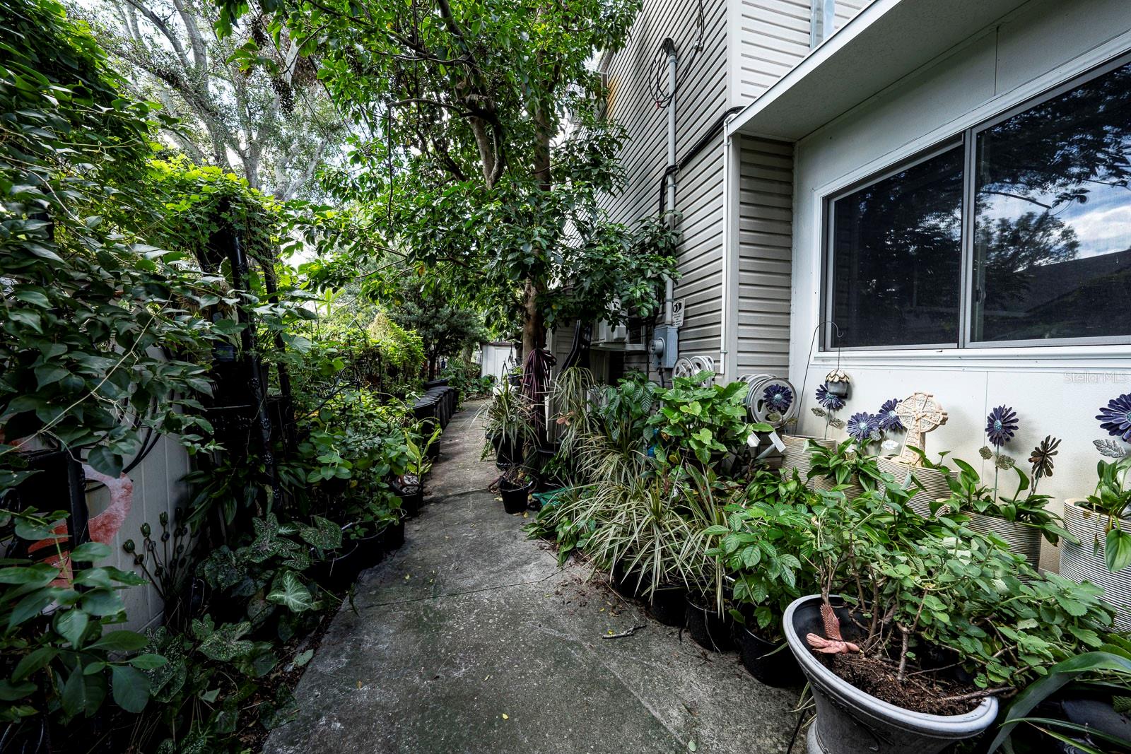 Looking west along the back walkway.