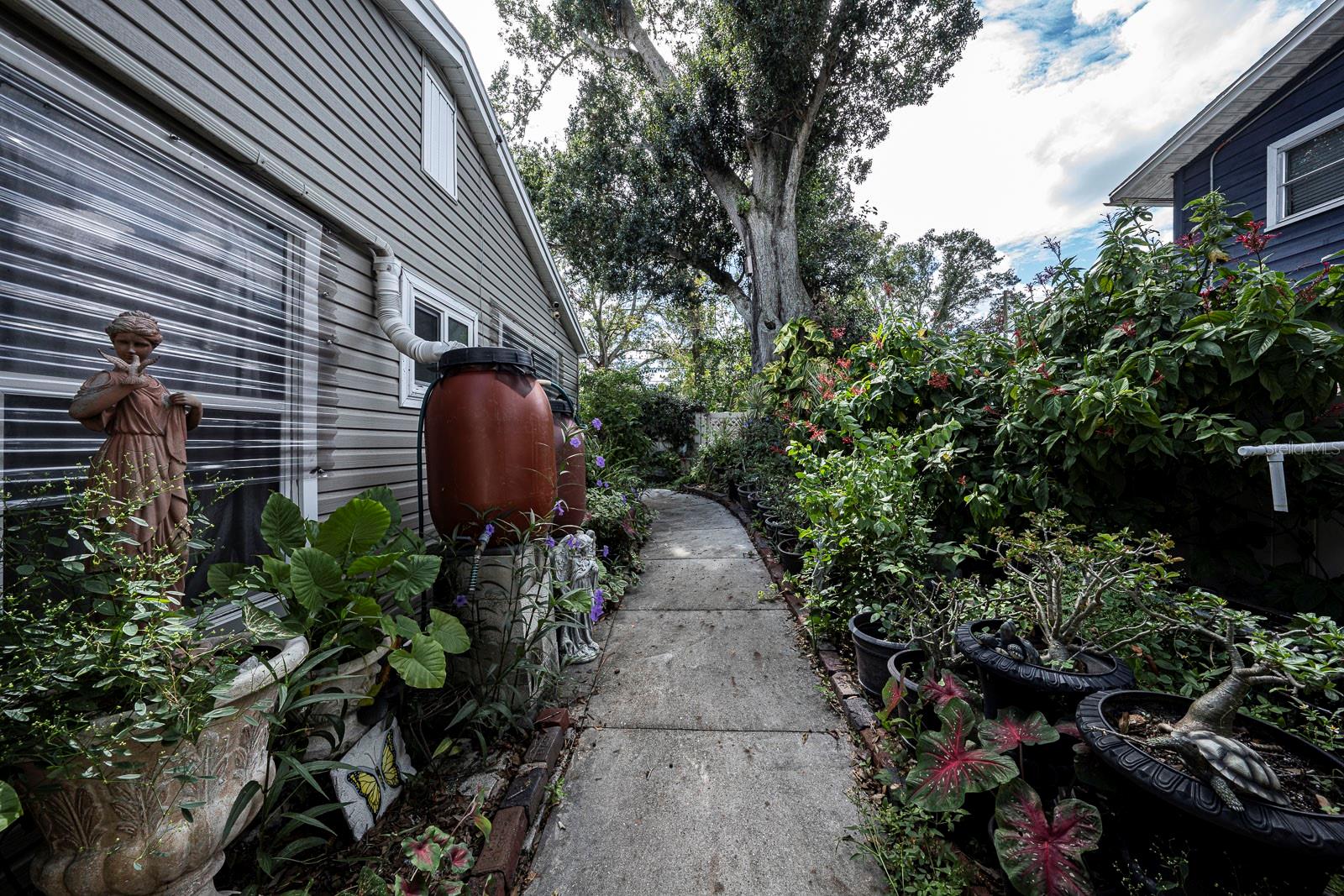 West side walkway leading to the back.