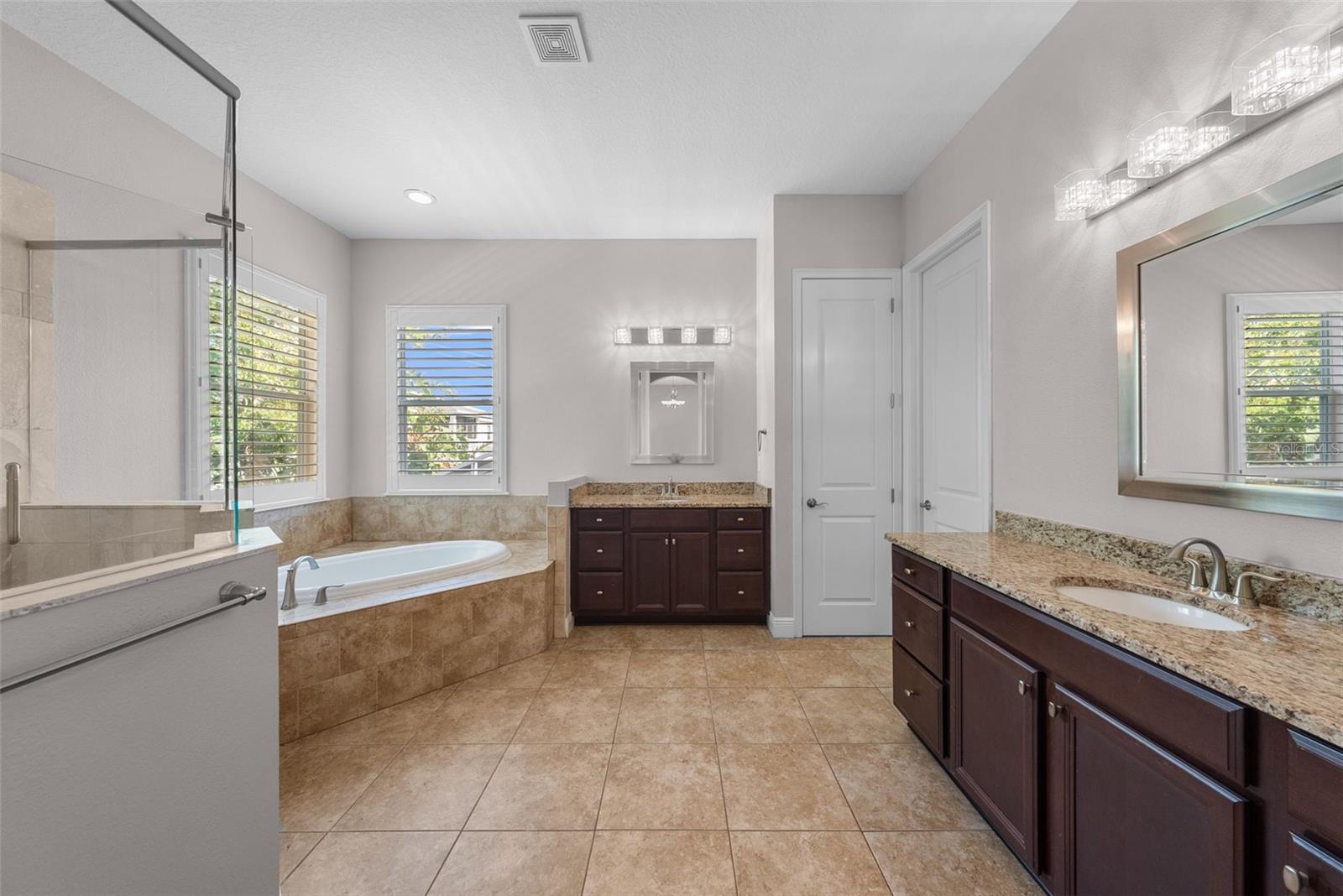 Glass shower and separate tub