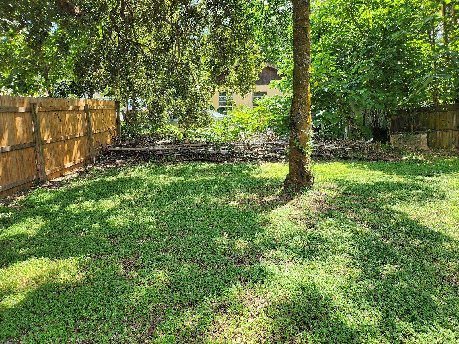 Back Patio