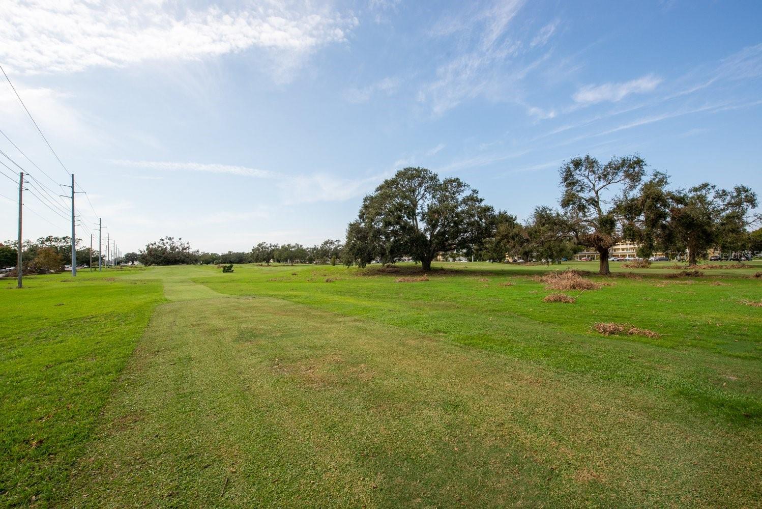 Golf Course View