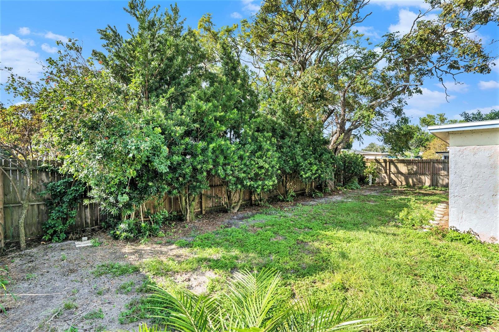 Fully fenced backyard