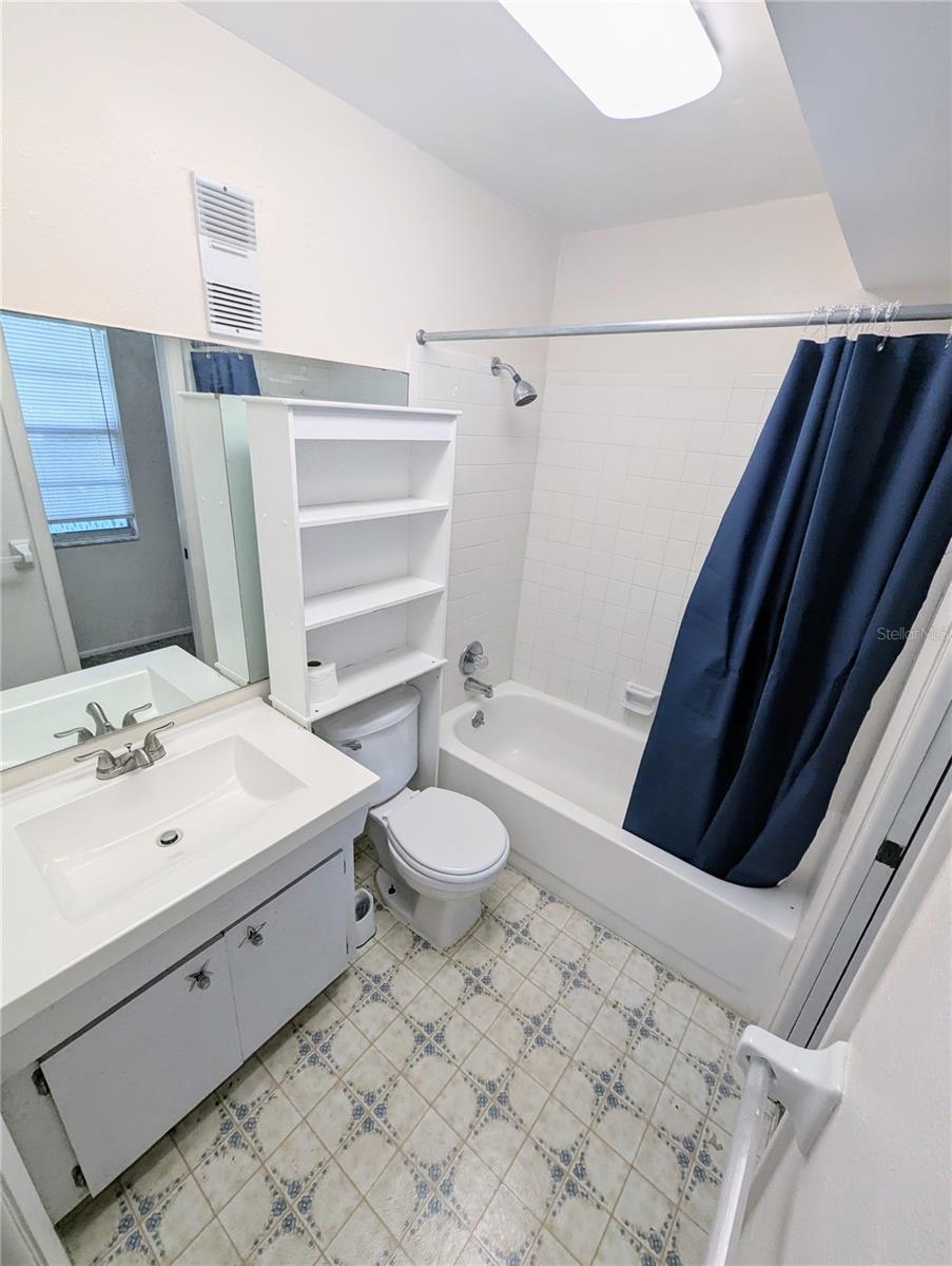 In-Law Suite Bathroom