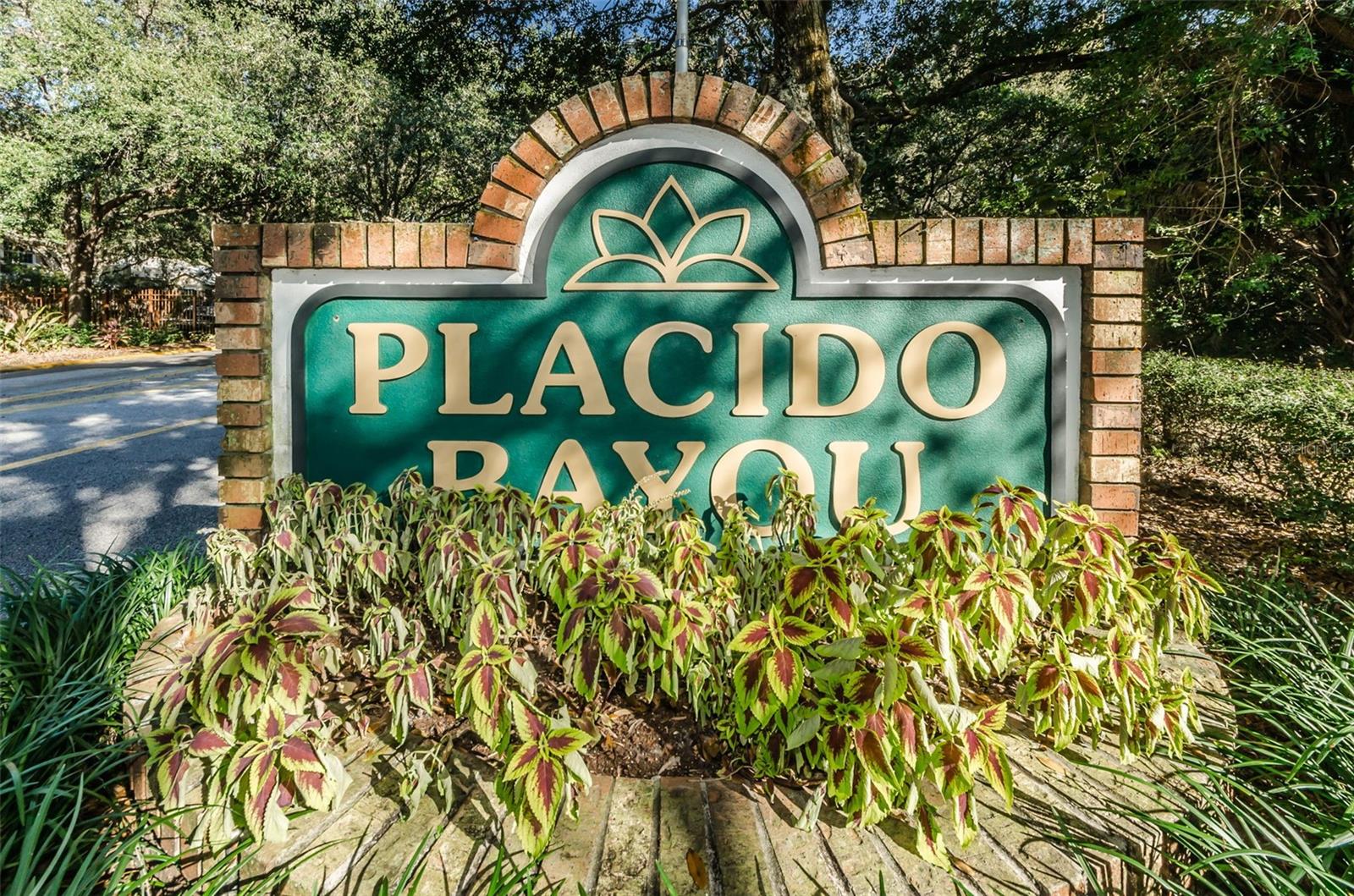 Located in the guard-gated community of Placido Bayou.