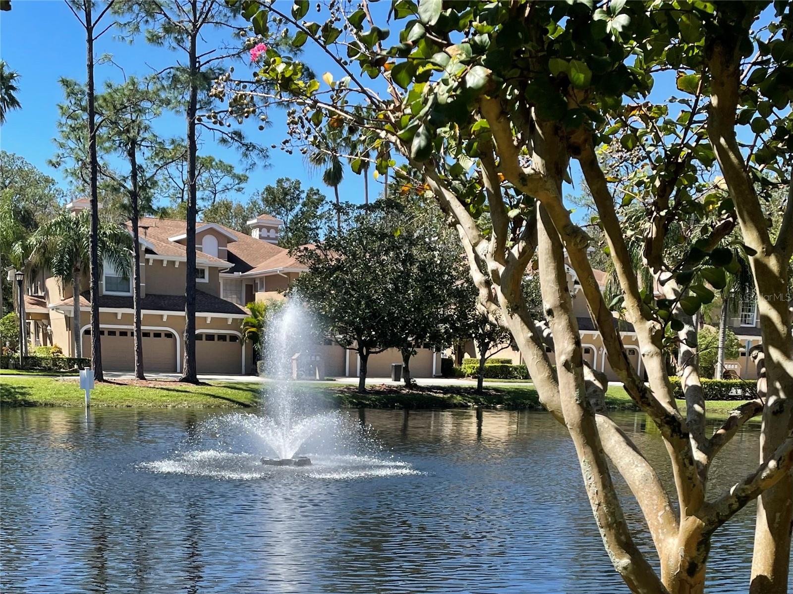 Picturesque fountain!