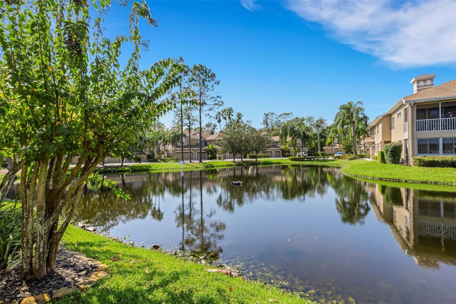 The pond is at the center of this Lansbrook condo community!