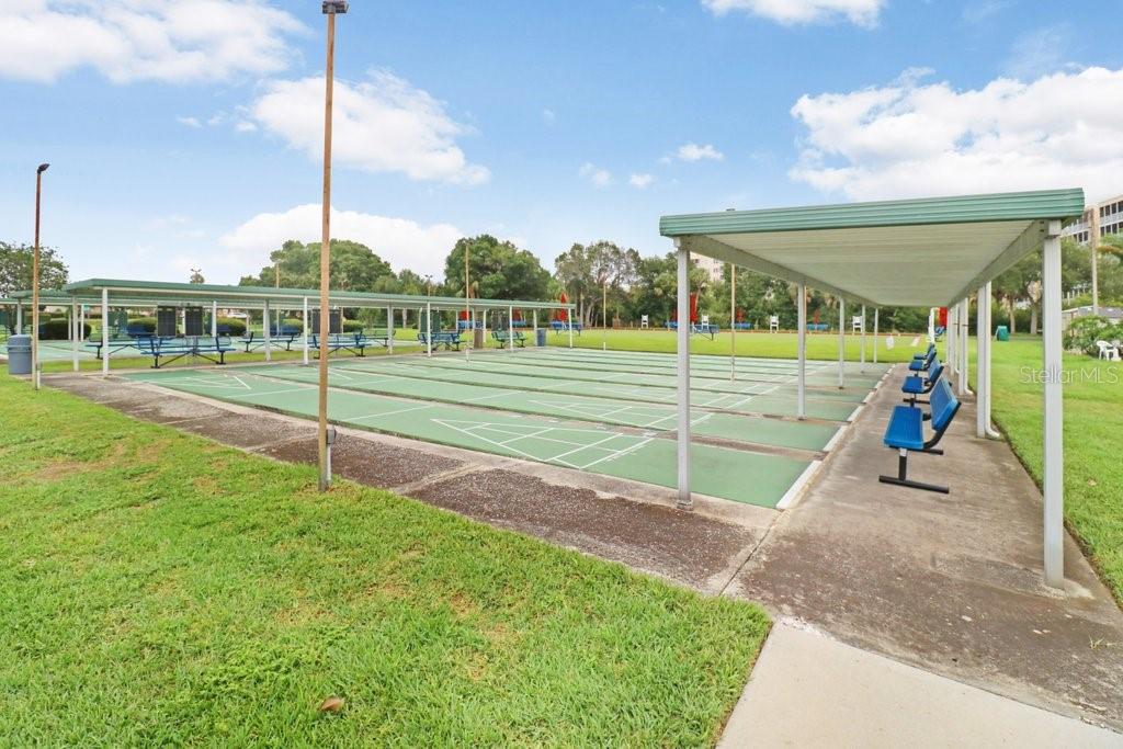 Community Amenities, Shuffleboard