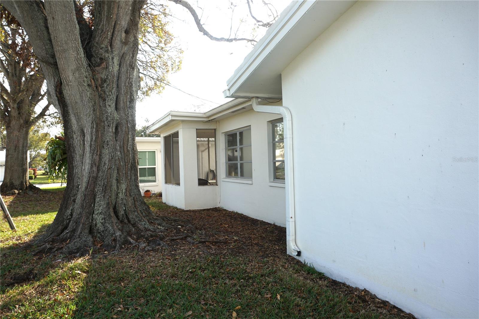 Rear of house looking toward screened patio