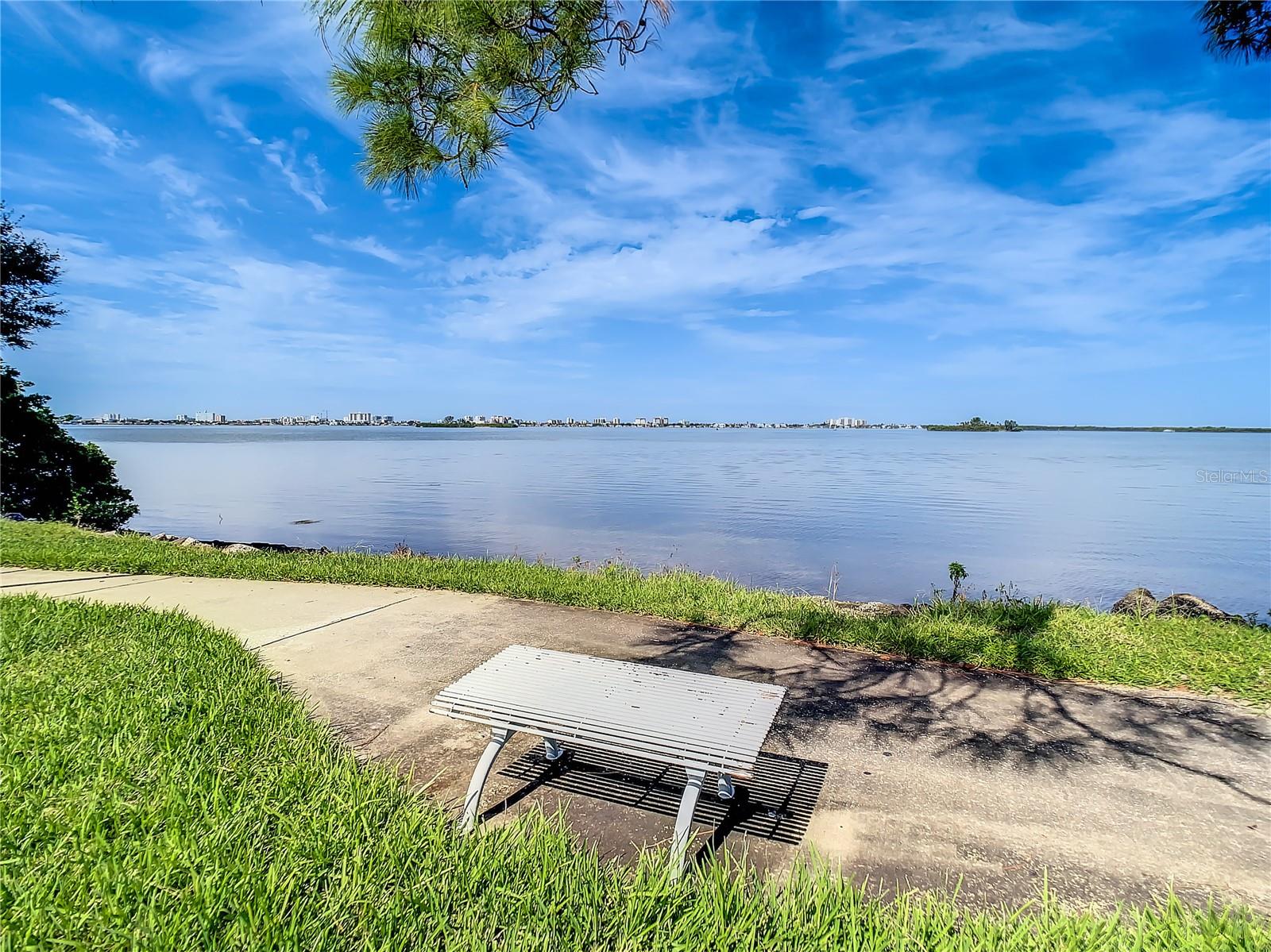 Neighborhood waterfront area