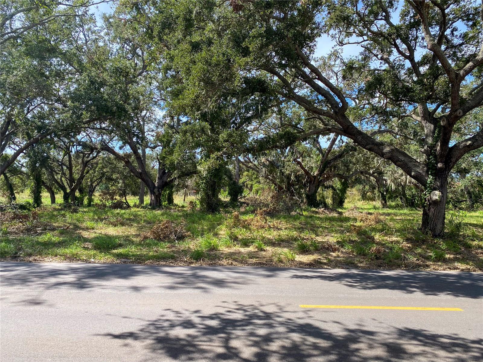 View from the front of the house