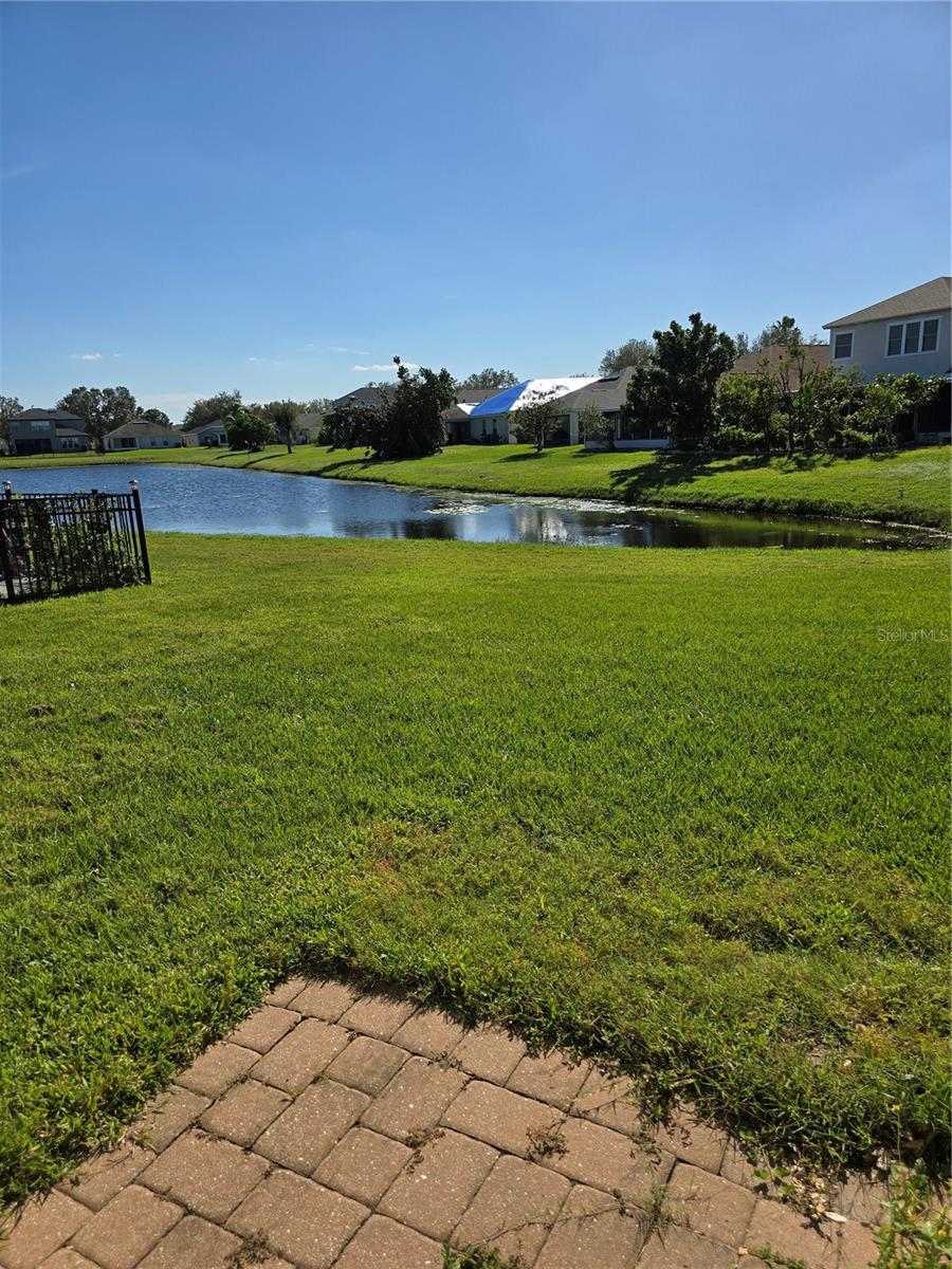 back yard overlooking the pond