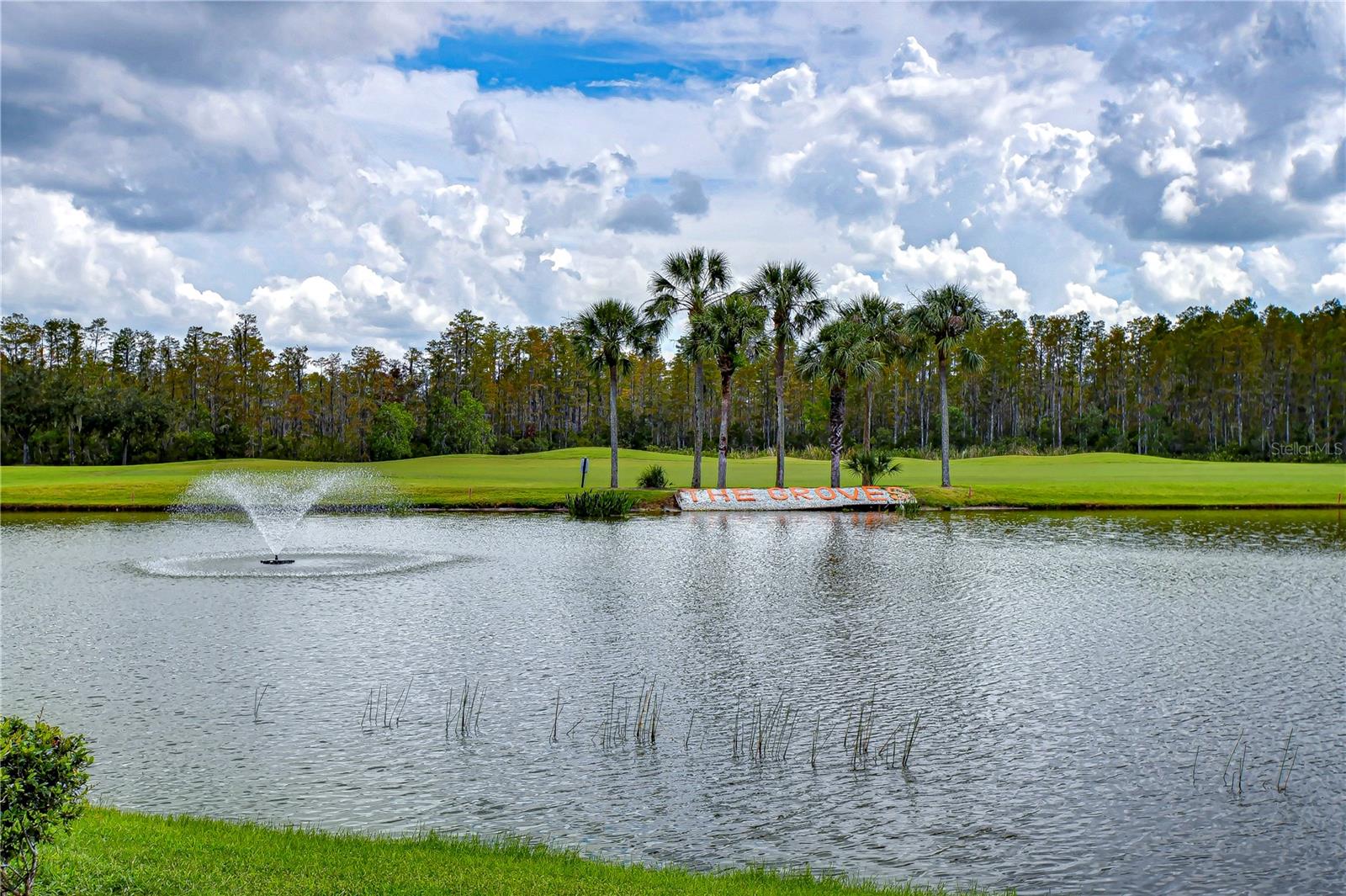 pond view