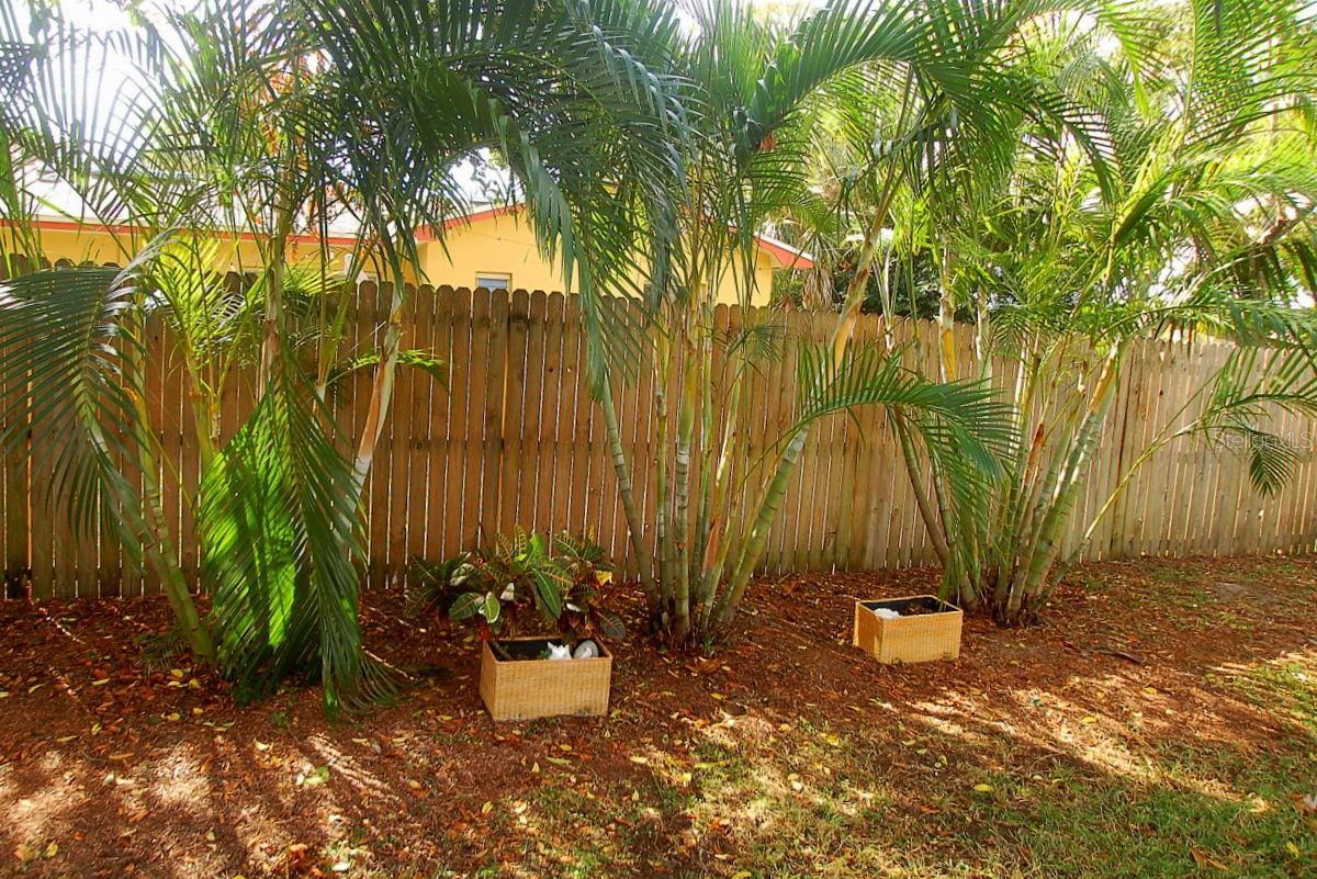 Tropical Landscaping