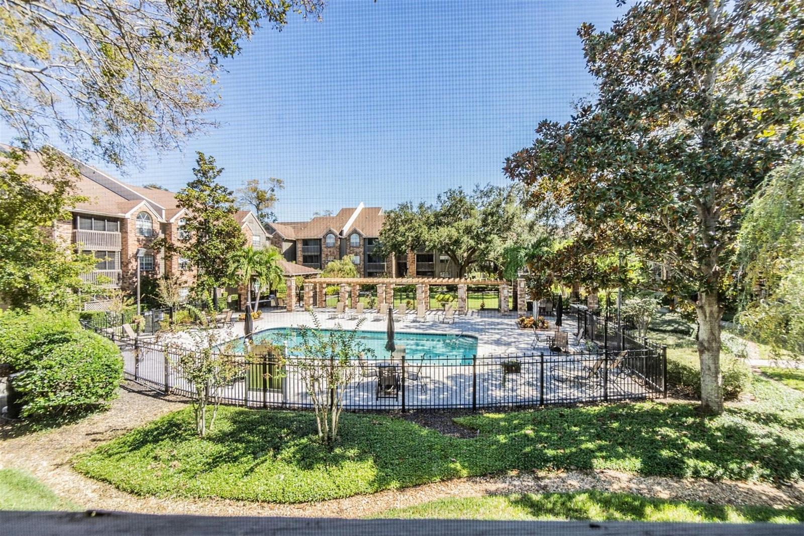 View of the pool