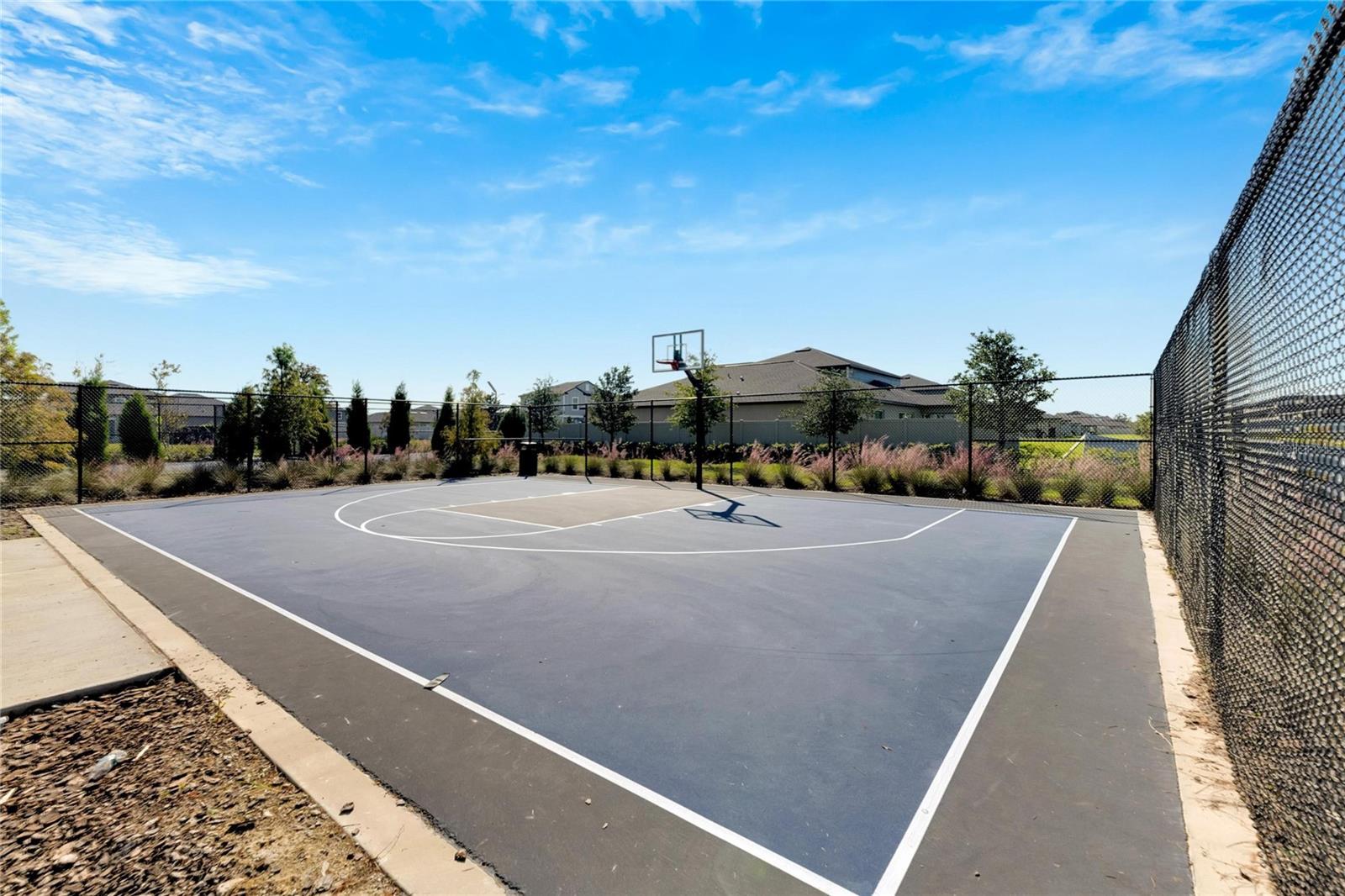 Basketball court!