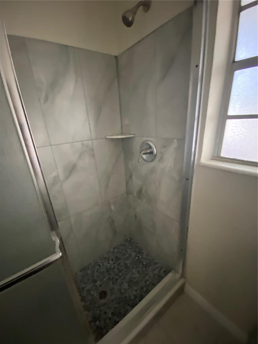 Shower in the updated hall bath