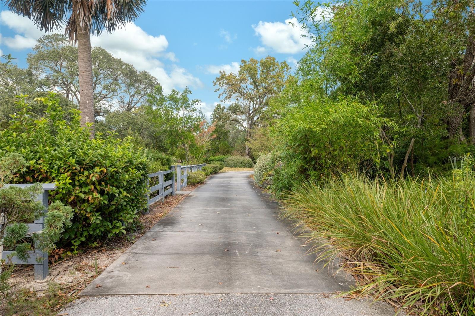 Lush landscaping lines the drives and walkways.