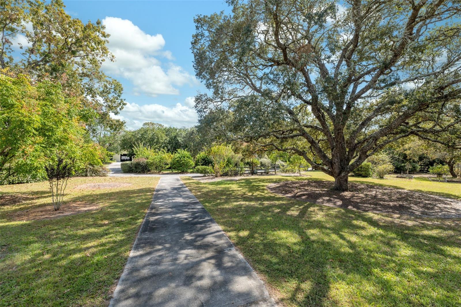 Walkway through the side yard.