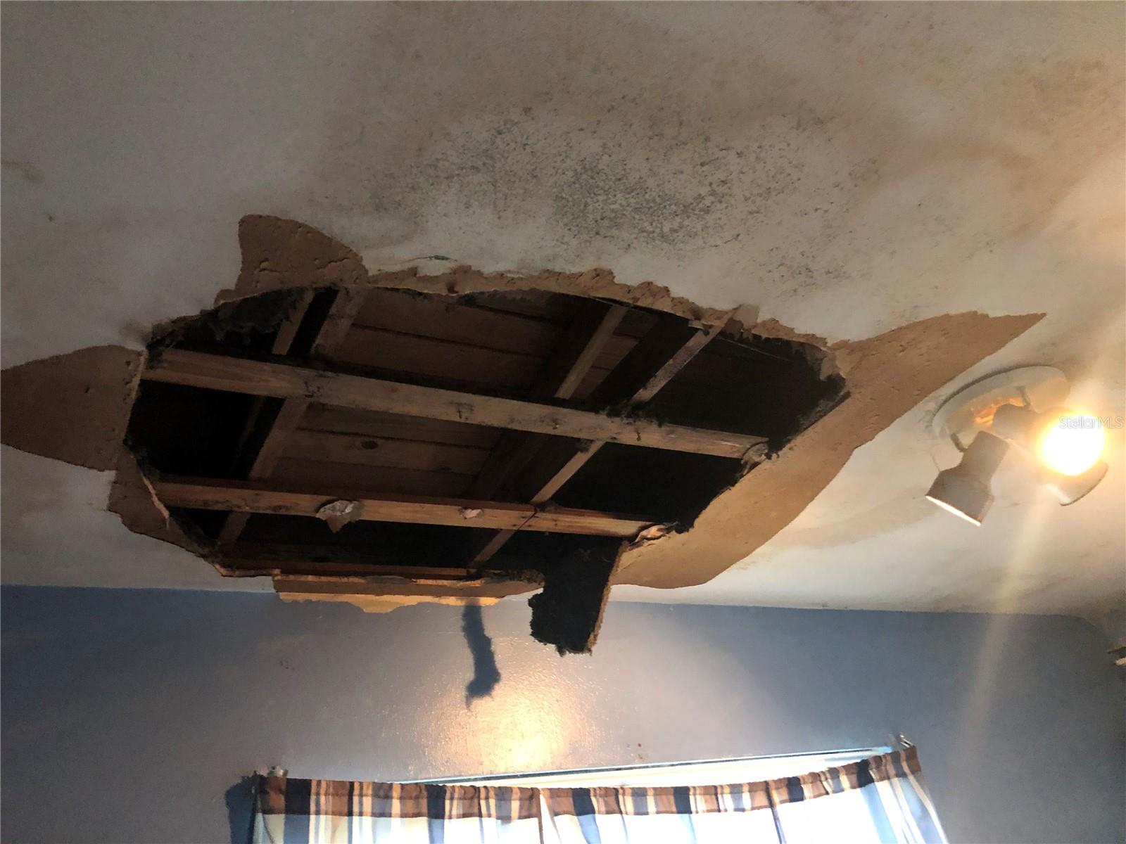 BEDROOM CEILING DAMAGE