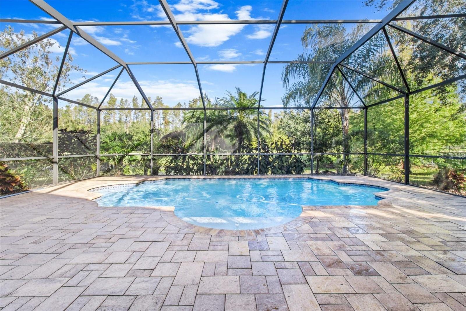 Brick Patio and Custom 6' Heated Pool with In Pool Seating and Fountain Water Feature