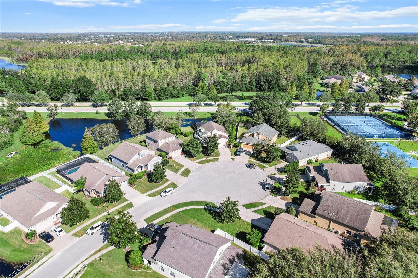 Aerial View of Cul De Sac on which Property is Located