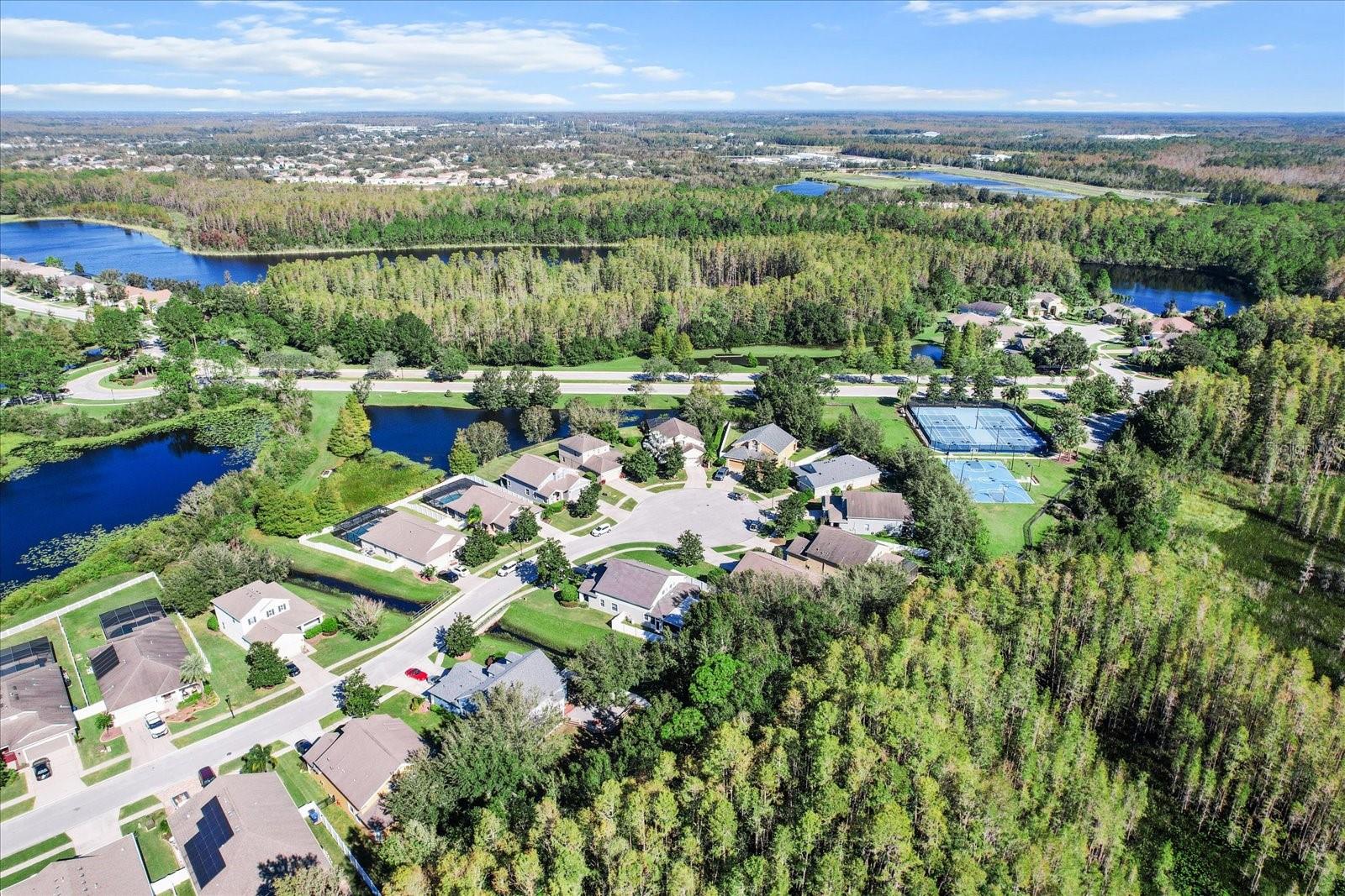 Aerial View of Cul De Sac