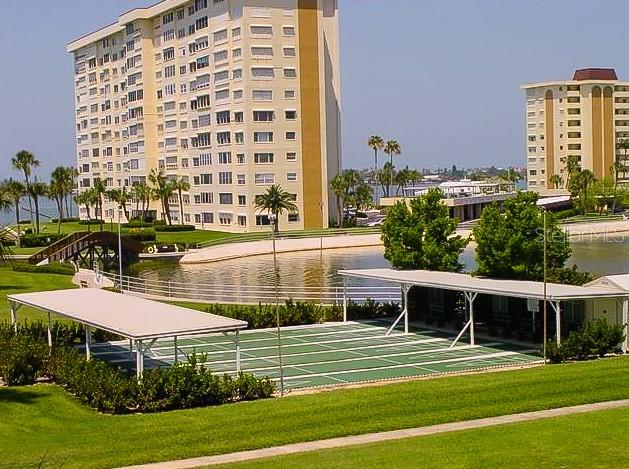 Community Shuffleboard Court