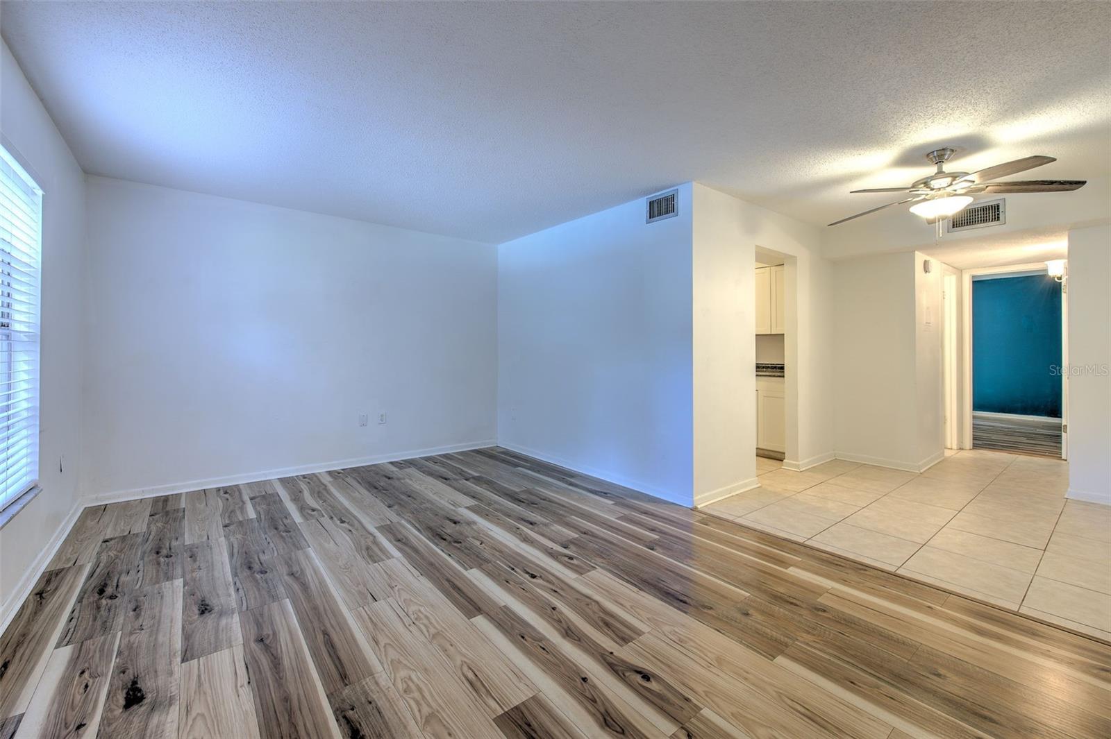 Living/Dining area combo