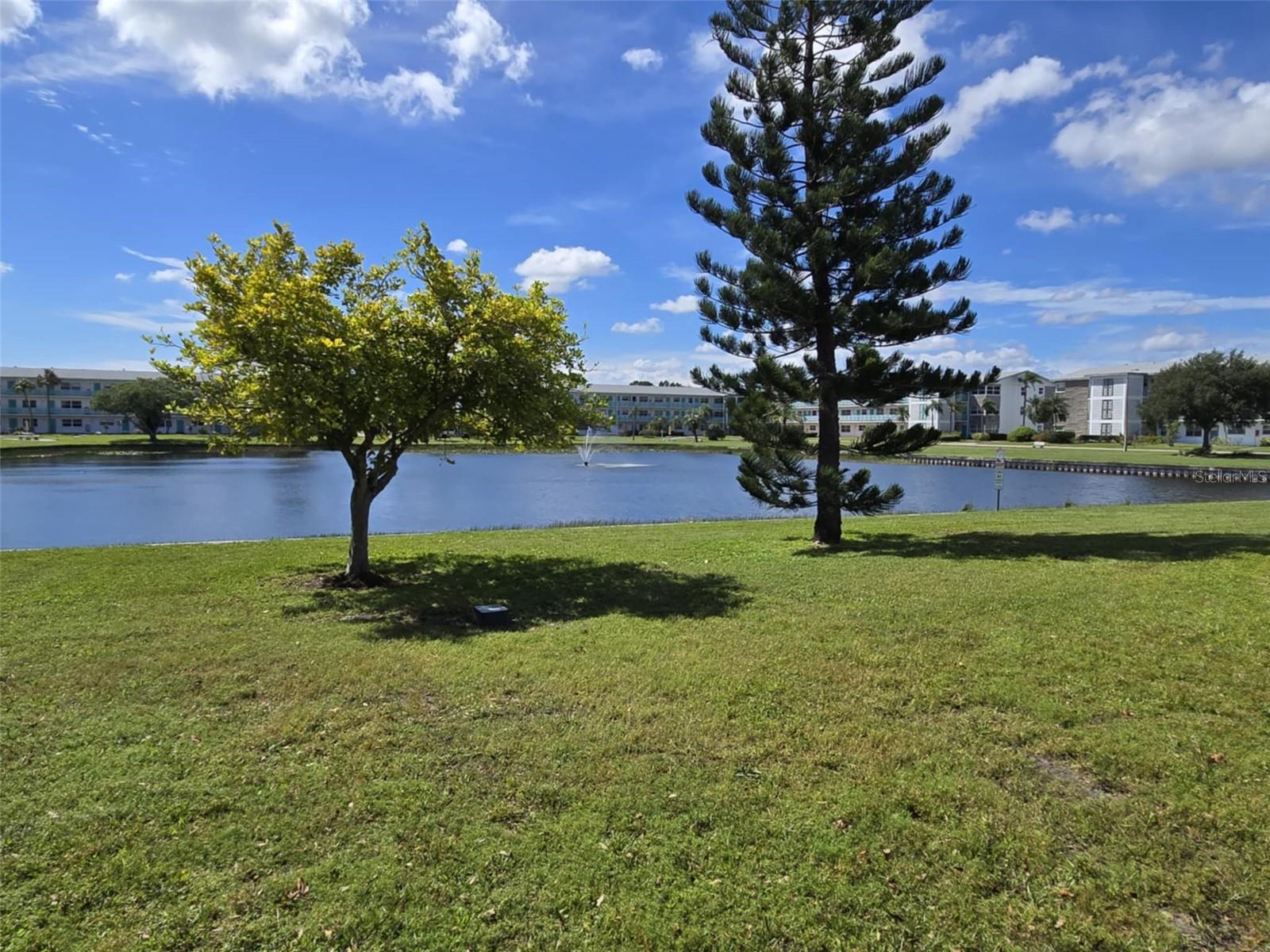 Community pond