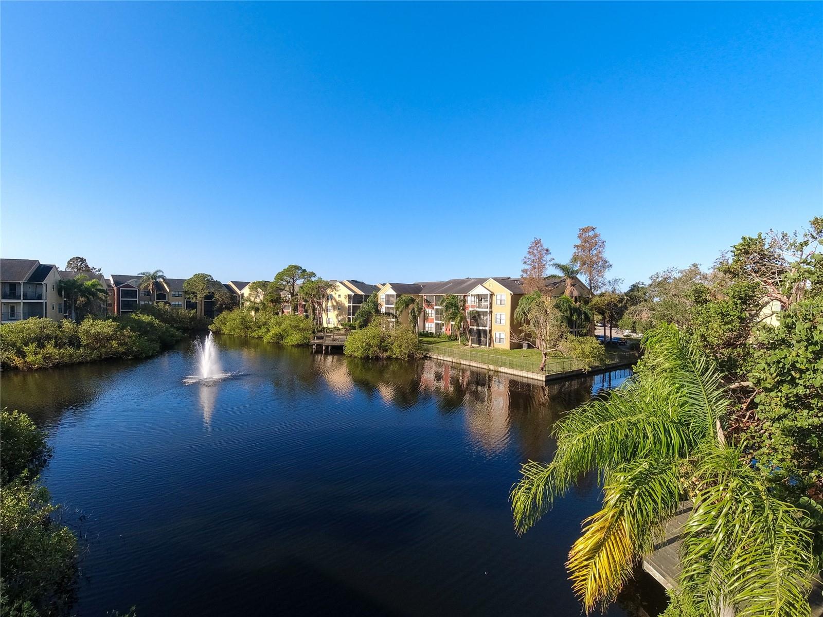 Pond behind the condo, where you may catcha fish or two.