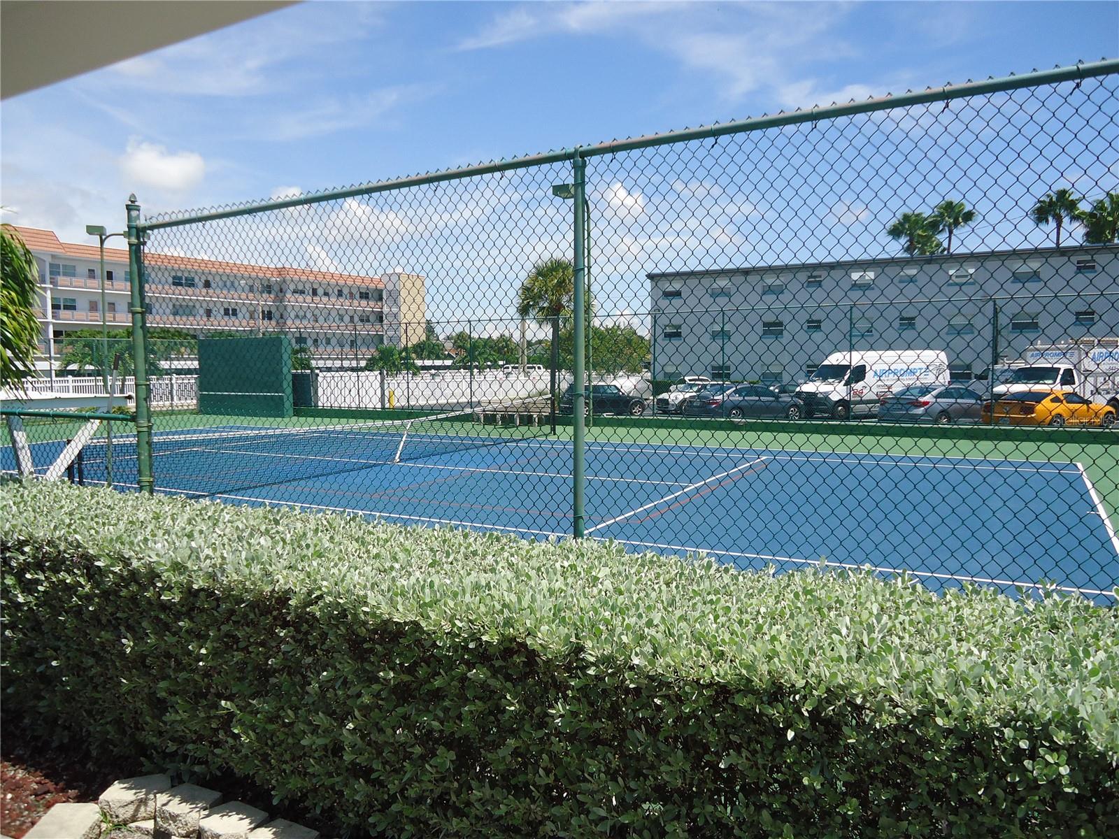 Pickle ball court