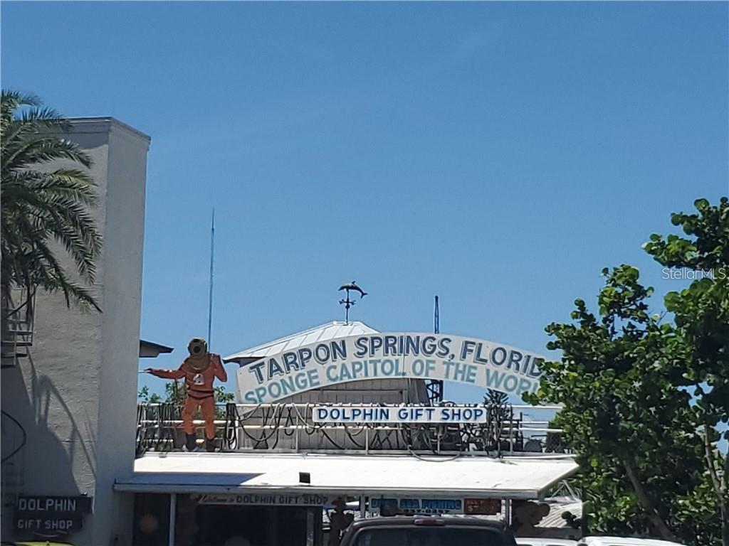 5 MILES From World Famous Tarpon Springs Sponge Docks