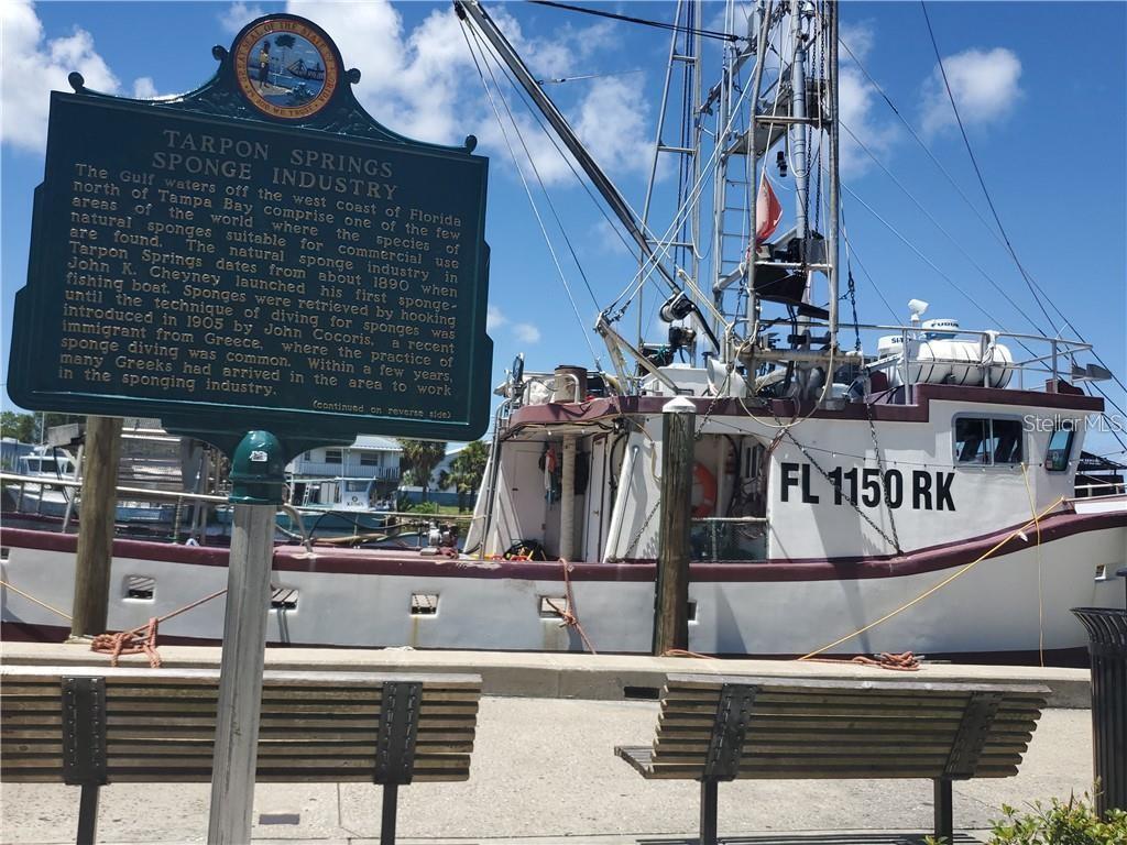 5 MILES From World Famous Tarpon Springs Sponge Docks