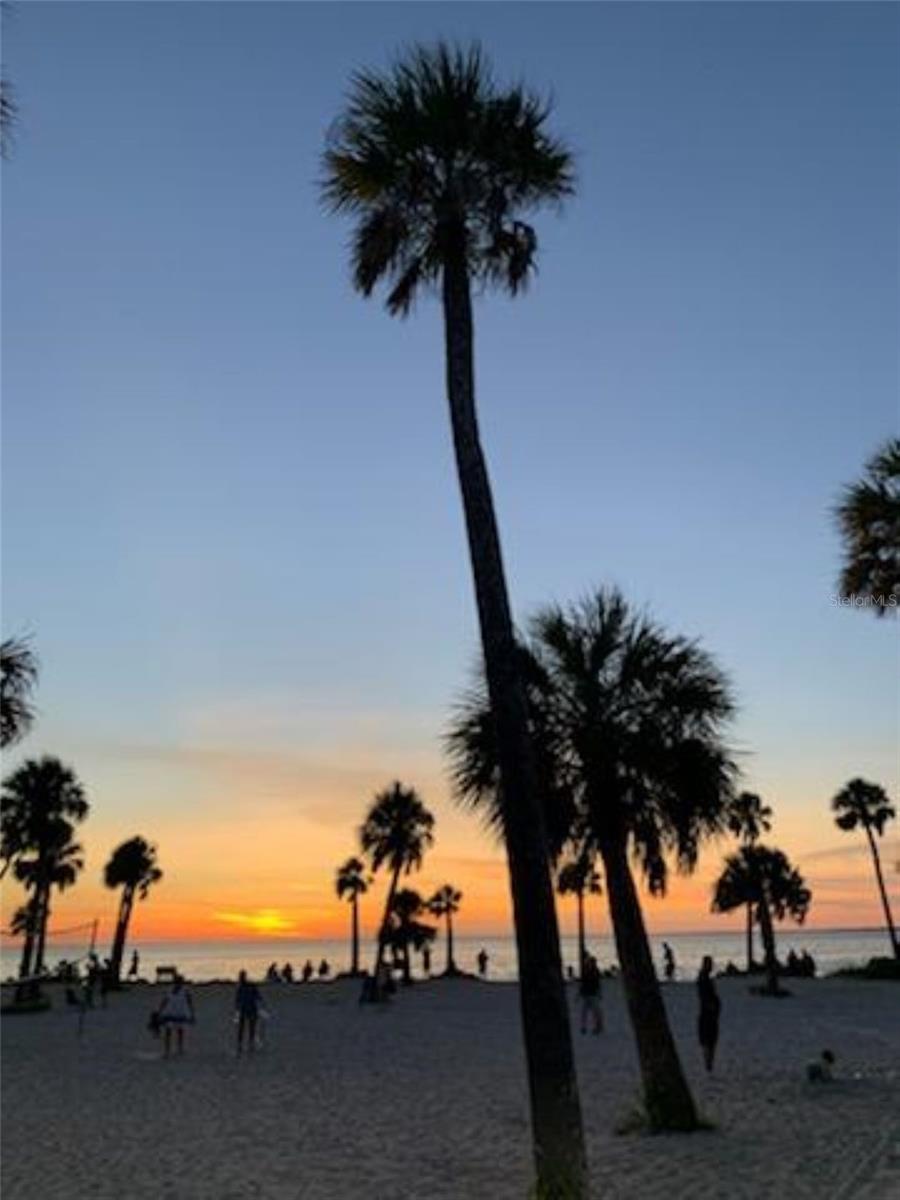 Two nearby gulf beaches - Sunset & Fred Howard Park Beach