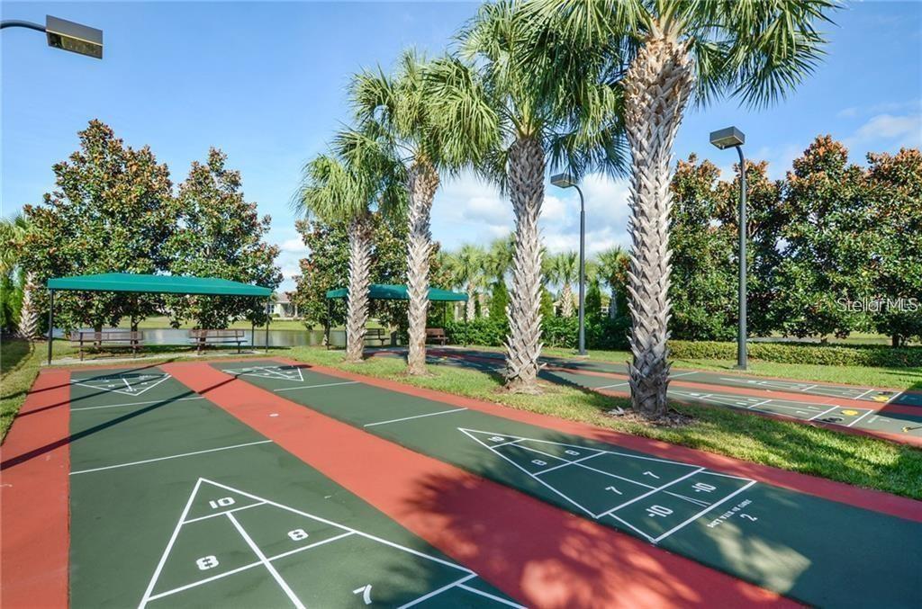 Shuffle Ball Court