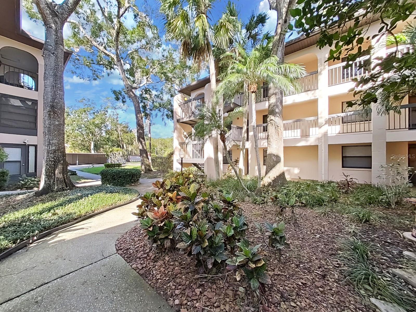 Courtyard area.