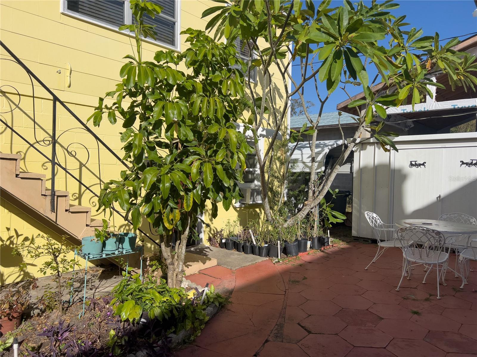 Back Courtyard