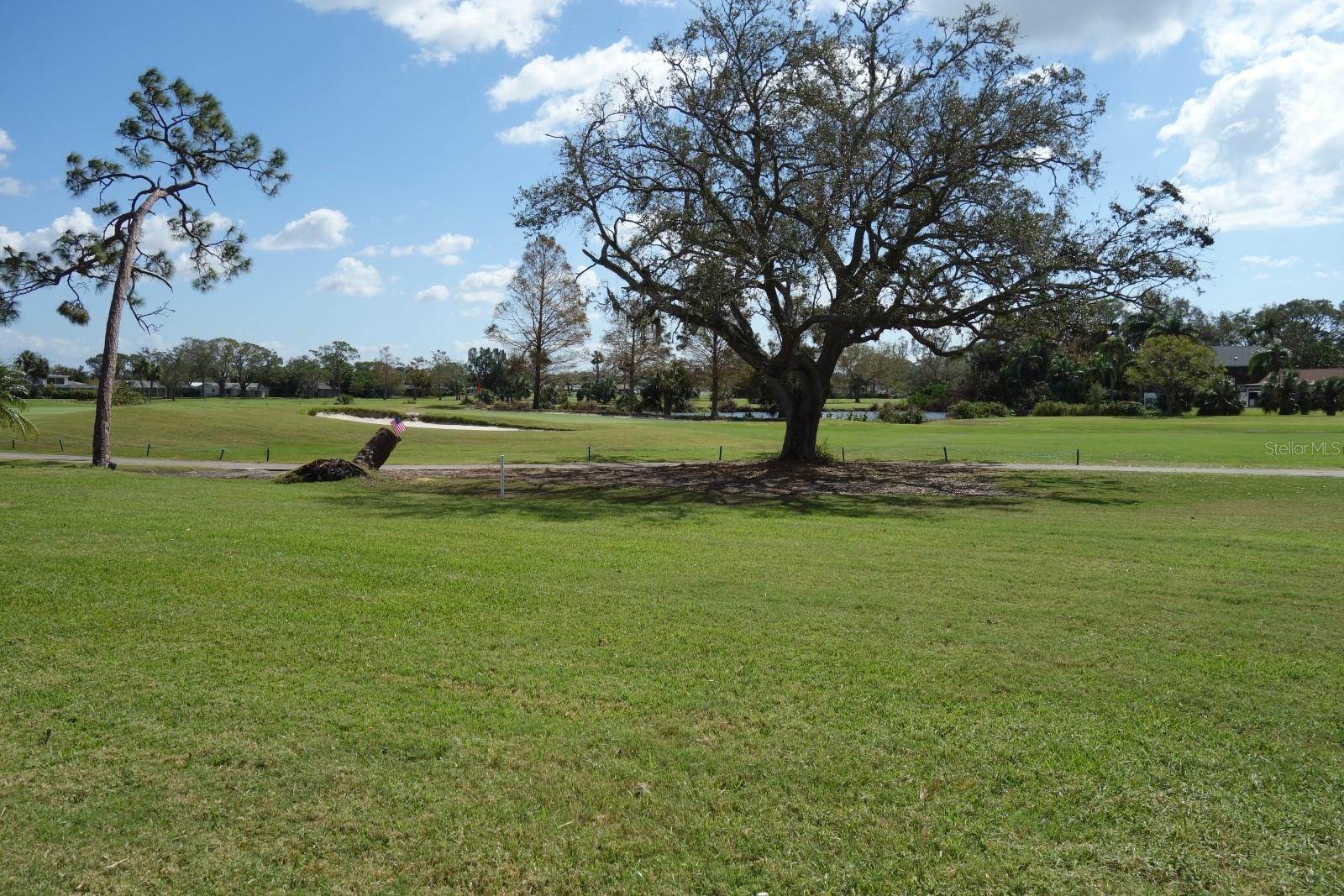 Golf Course View