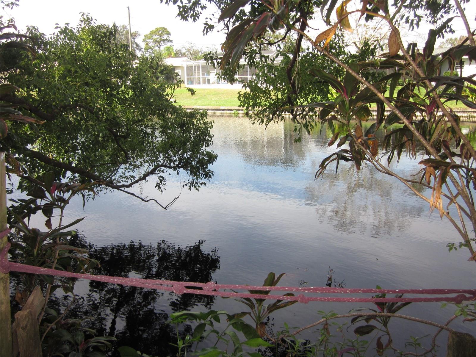 Pond View from back yard