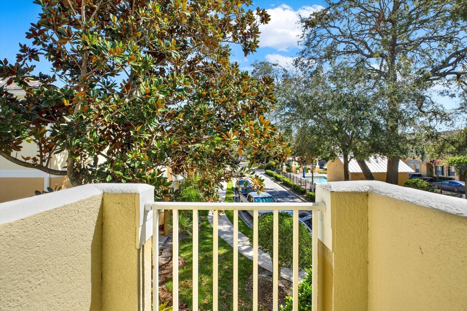 Balcony Views