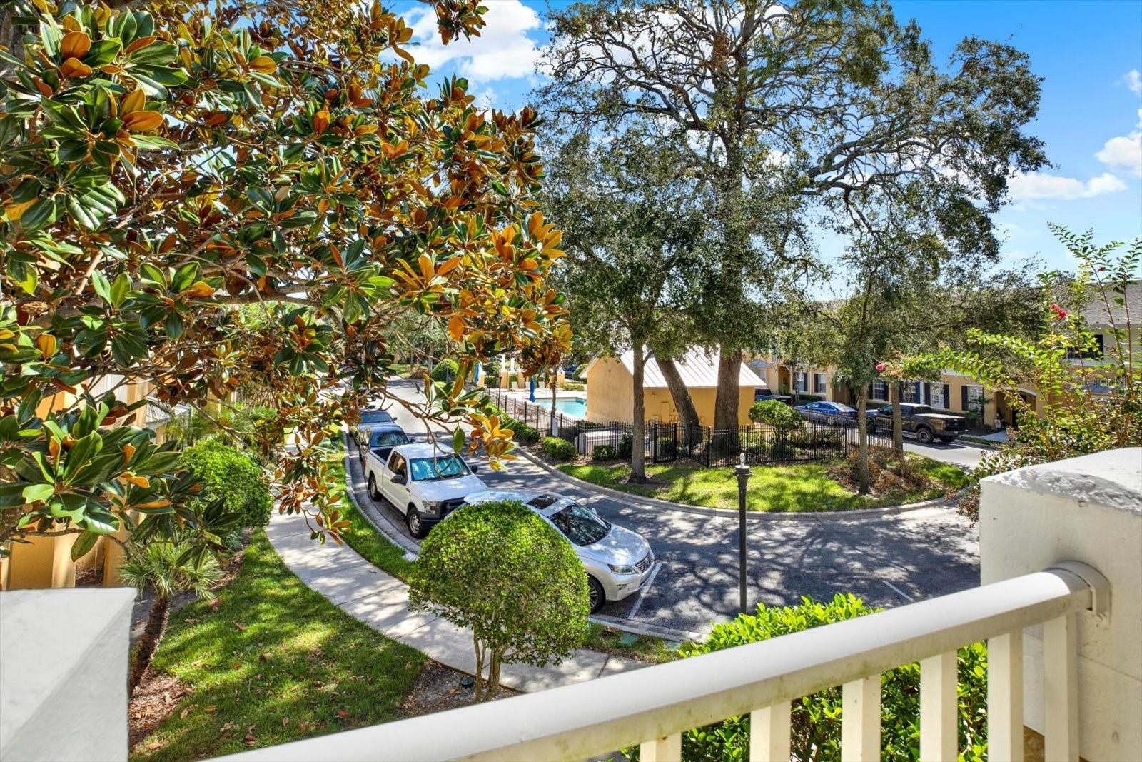 Balcony Views