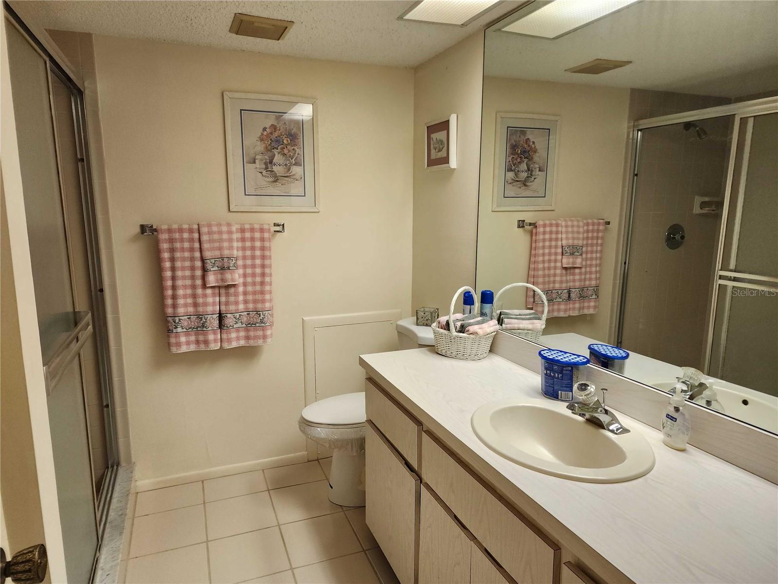 Master bathroom with "walk in shower"