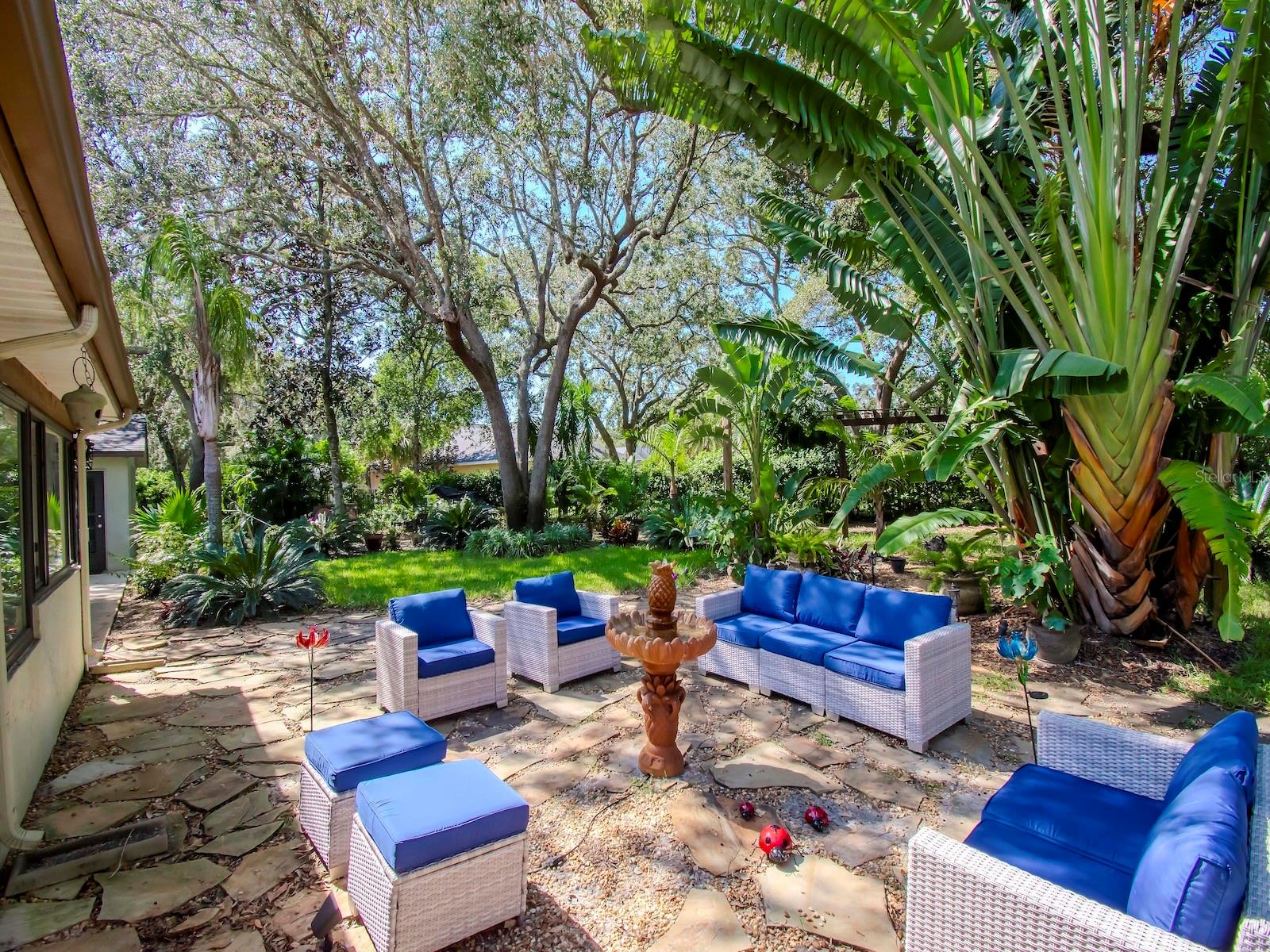 Enjoy your backyard tropical oasis