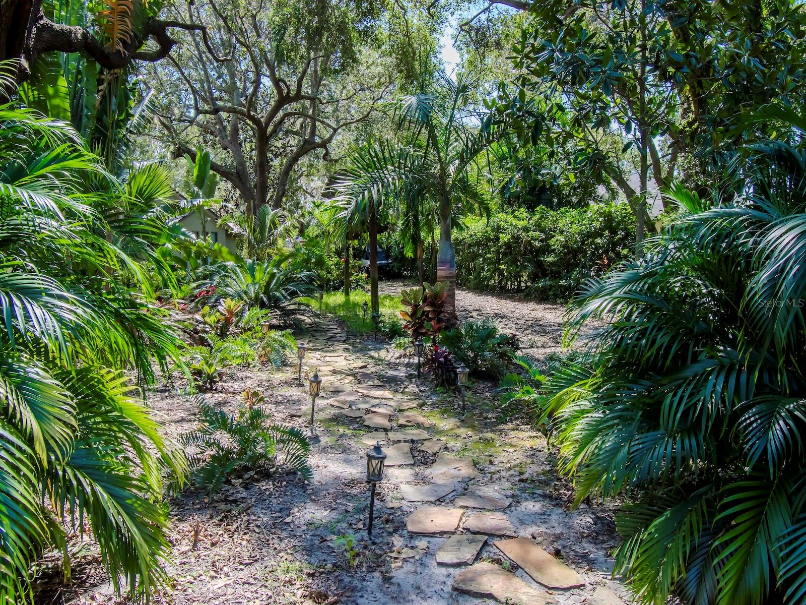 Beautiful outdoor paths thru your large tropical back yard