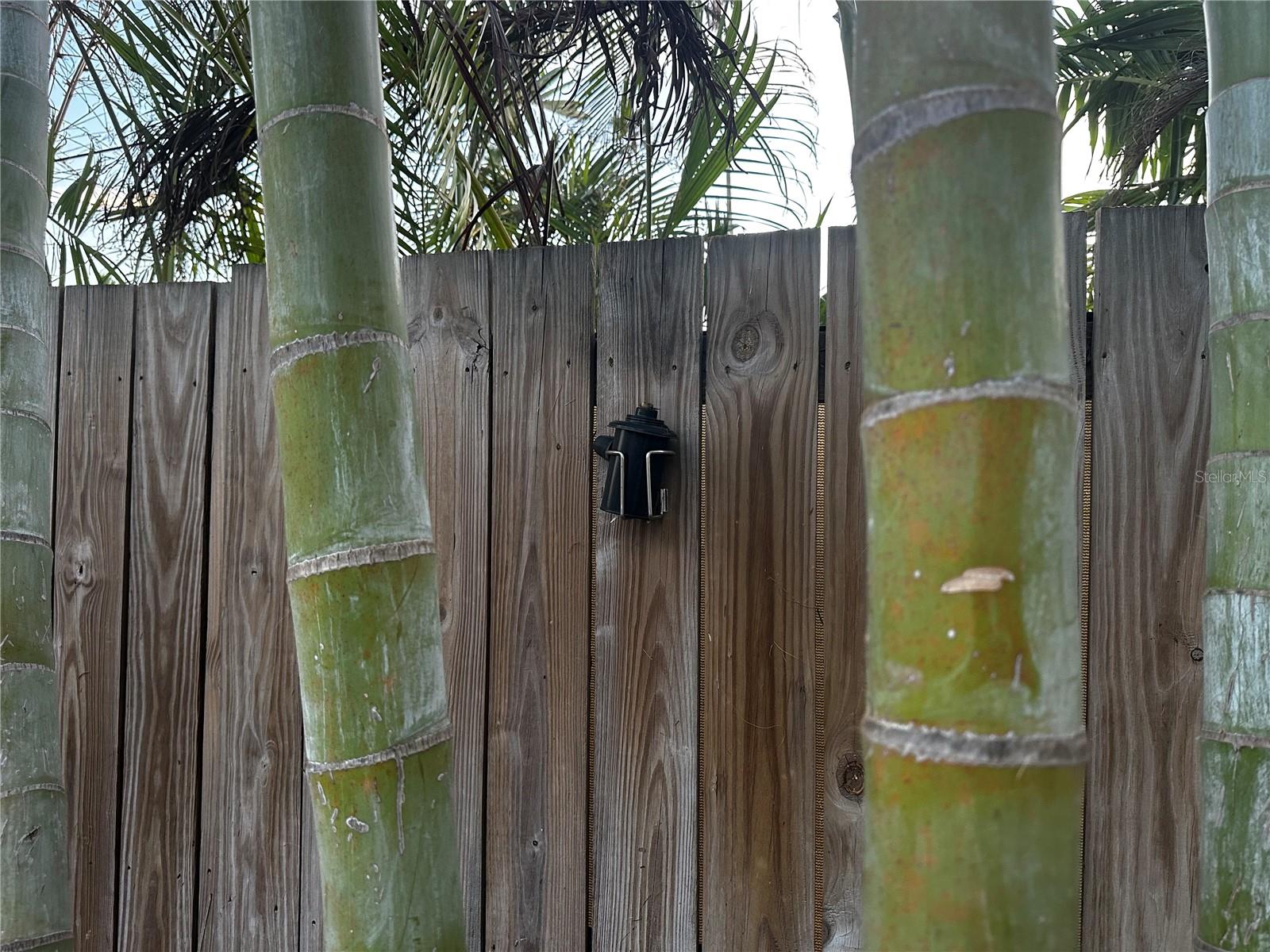 Tiki canisters line the pool area