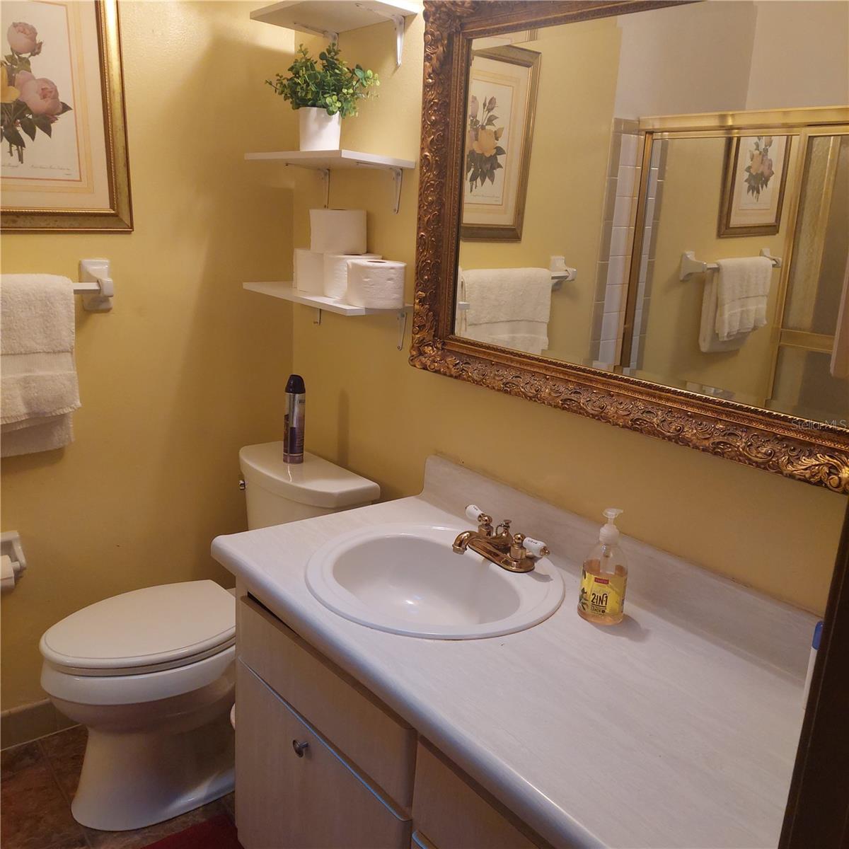 gorgeous hall bath, newer comfort-height toilet, large framed mirror