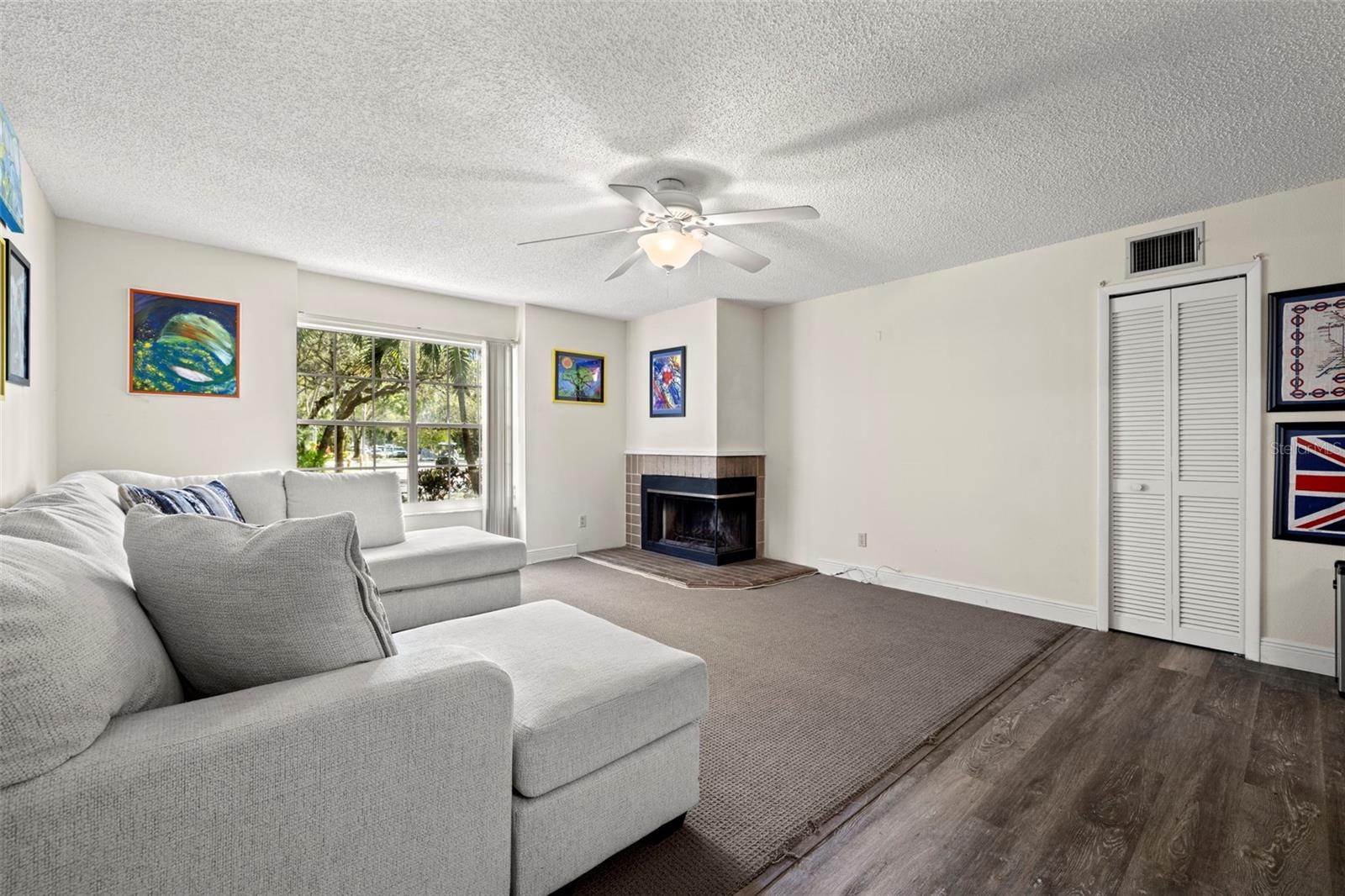 Living Room with Natural Light